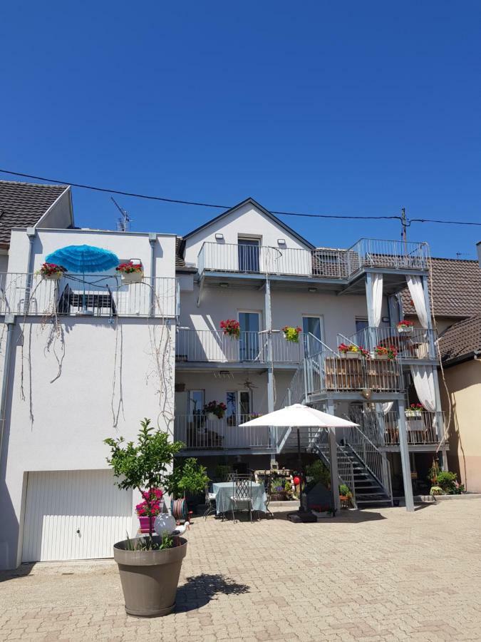 Apartment Au Gre De L'ill 'l'ill'